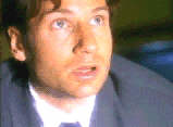 Mulder in 'Die Sammlung'